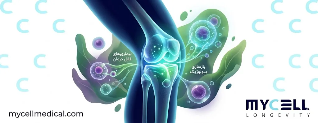 بیماری‌های قابل درمان با سلول‌های بنیادی